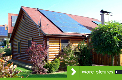 New International Distributor in Germany