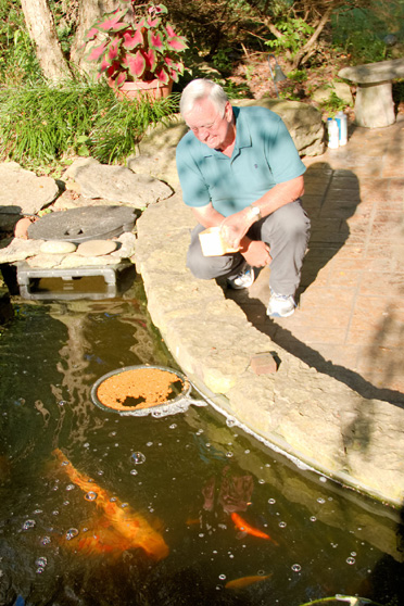 FROM ASHES TO ELEGANCE (PART II.)